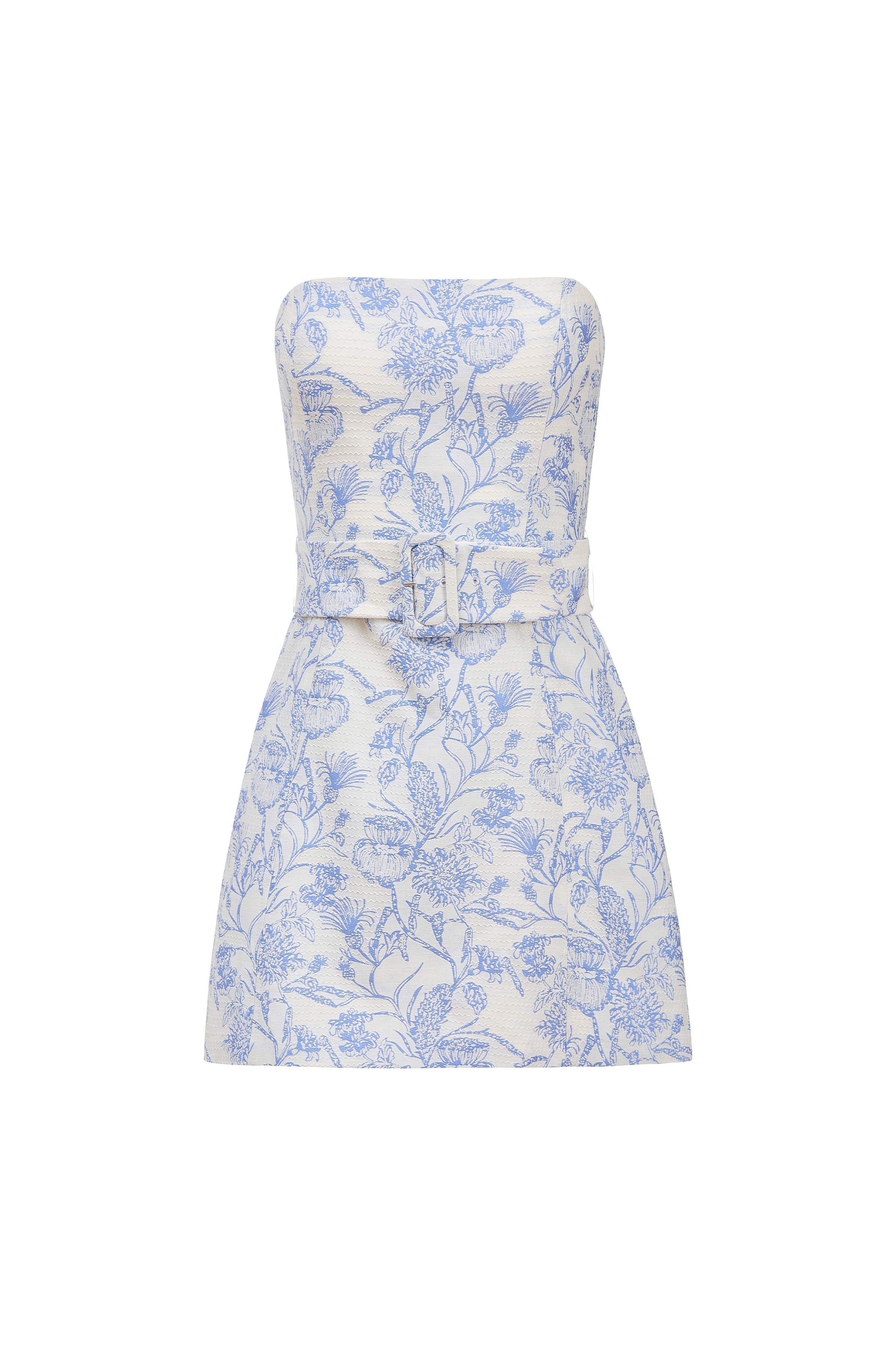 Fae Dress in Toile Brocade
